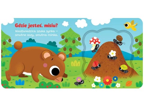 Aksjomat Otwórz okienko! Gdzie jesteś, misiu? KS1120