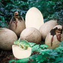 Dinozaury wykopaliska jajo dinozaura figurki zestaw archeologiczny 12 jajek