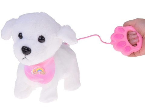 Piesek interaktywny chodzi na smyczy szczeka rusza ogonkiem ZA5591