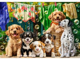 Puzzle 500-elementów Puppies, Laundry and Bird Antics B-54152