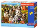 Puzzle 260-elementów Happy Dogs In The Countryside B-27699-1
