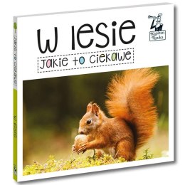Kapitan Nauka Jakie to ciekawe. W lesie. KS1206