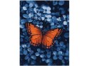 Malowanie po numerach 30x40cm KHO6733 Światło wśród ciemności motyl AP0072