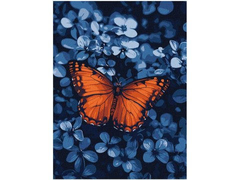Malowanie po numerach 30x40cm KHO6733 Światło wśród ciemności motyl AP0072