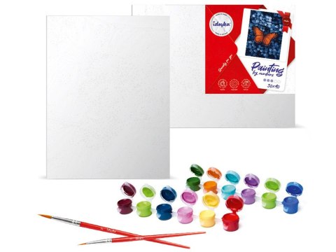 Malowanie po numerach 30x40cm KHO6733 Światło wśród ciemności motyl AP0072