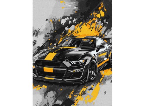 Zestaw do malowania po numerach 30x40cm KHO5155 Styl sportowy AP0091