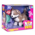 Interaktywny piesek na smyczy husky chodzi i merda ogonem melodyjki