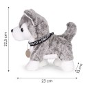 Interaktywny piesek na smyczy husky chodzi i merda ogonem melodyjki