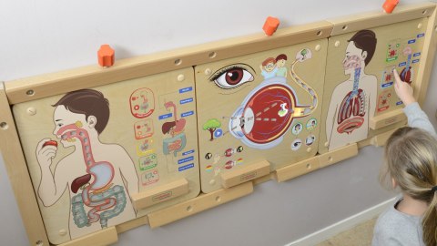 MASTERKIDZ Tablica Edukacyjna Układ Oddechowy