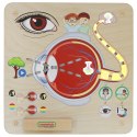 MASTERKIDZ Tablica Edukacyjna Zmysł Wzroku