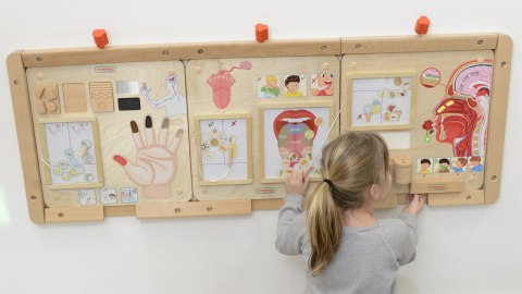 MASTERKIDZ Tablica Edukacyjna Zmysł Wzroku