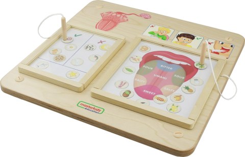 MASTERKIDZ Tablica Edukacyjna Zmysł Wzroku