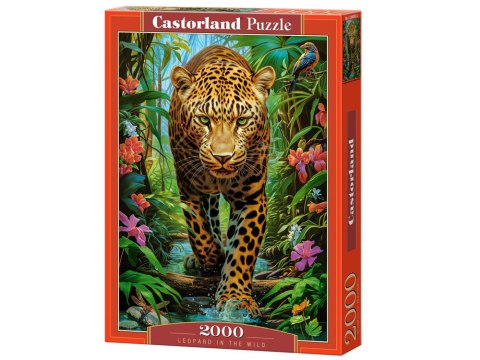 Puzzle 2000 elementów Leopard in the Wild