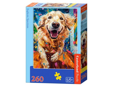 Puzzle 260-elementów Euphoric Spectrum B-27644-1