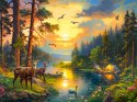 Puzzle 3000 elementów Sunset over Forest River