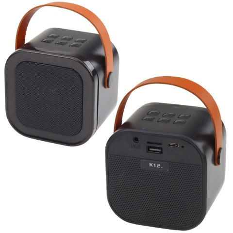 Zestaw Do Karaoke Głośnik Dwa Mikrofony Światła LED Czarny