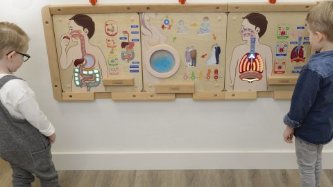 MASTERKIDZ Tablica Edukacyjna Układ Trawienny