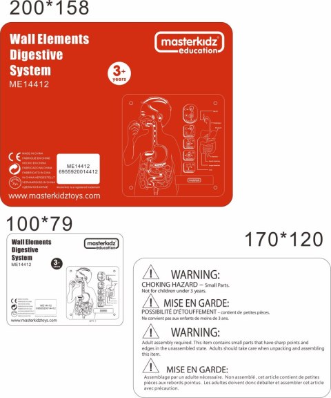 MASTERKIDZ Tablica Edukacyjna Układ Trawienny