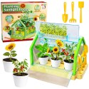 Mini Ogródek Szklarnia Doświadczenie Edukacyjne System Podlewania