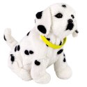 Interaktywny Pies Piesek Dalmatyńczyk Pluszowy Szczeka Rusza Ogonem