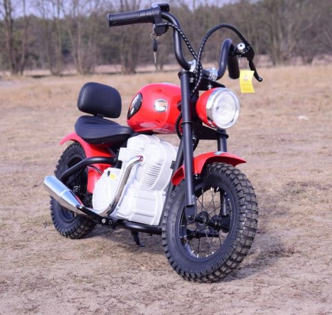 REWELACYJNY MOTOR SPEED 12 PLUS POMPOWANE KOŁA, STALOWA RAMA/A9902