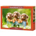 Puzzle 500-elementów Cute Dachshunds B-53605