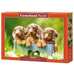 Puzzle 500-elementów Cute Dachshunds B-53605