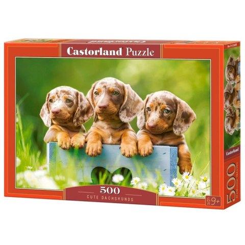 Puzzle 500-elementów Cute Dachshunds B-53605