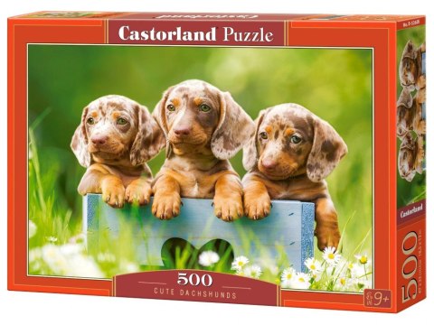 Puzzle 500-elementów Cute Dachshunds B-53605