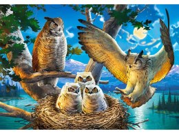 Puzzle 500-elementów Owl Family B-53322