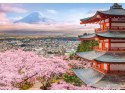 Puzzle 500-elementów Spring in Japan B-54282