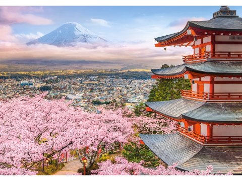 Puzzle 500-elementów Spring in Japan B-54282