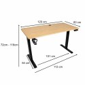 Biurko elektryczne regulowane pamięć panel sterowania 120x60cm drewno