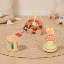 TOOKY TOY Zestaw Biedronka do Zabawy Rozwojowej 3w1