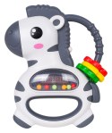 Grzechotka Zebra