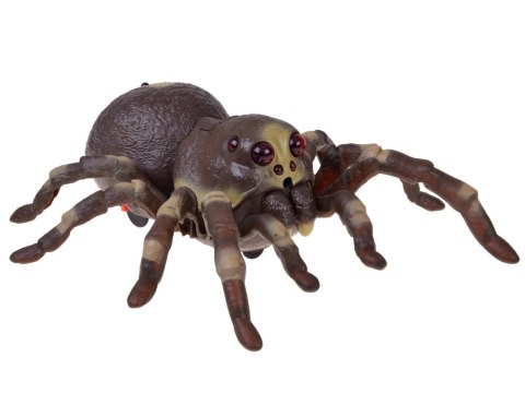 Pająk TARANTULA zdalnie sterowany - funkcja pary wodnej RC0784