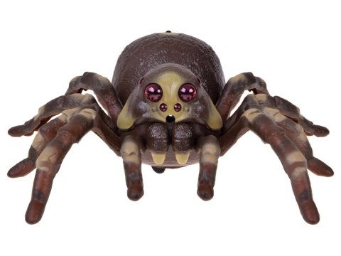 Pająk TARANTULA zdalnie sterowany - funkcja pary wodnej RC0784
