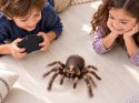 Pająk TARANTULA zdalnie sterowany - funkcja pary wodnej RC0784