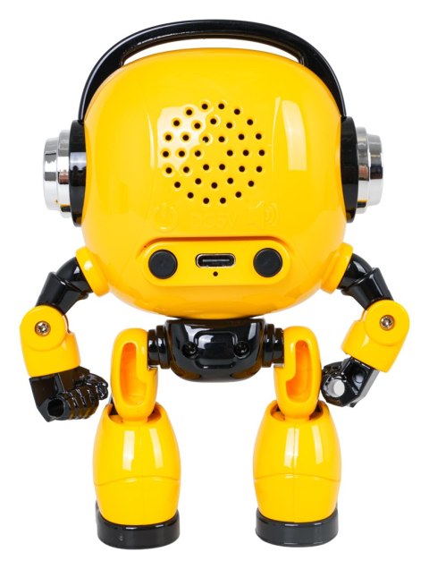 Robot AI do Nauki i Rozmowy