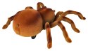 Pająk Tarantula R/C