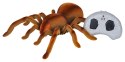 Pająk Tarantula R/C