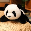 WOOPIE Panda Terapeutyczna Obciążeniowa Pluszak 1kg