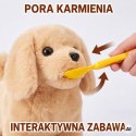WOOPIE Interaktywny Brązowy Piesek na Smyczy z Akcesoriami